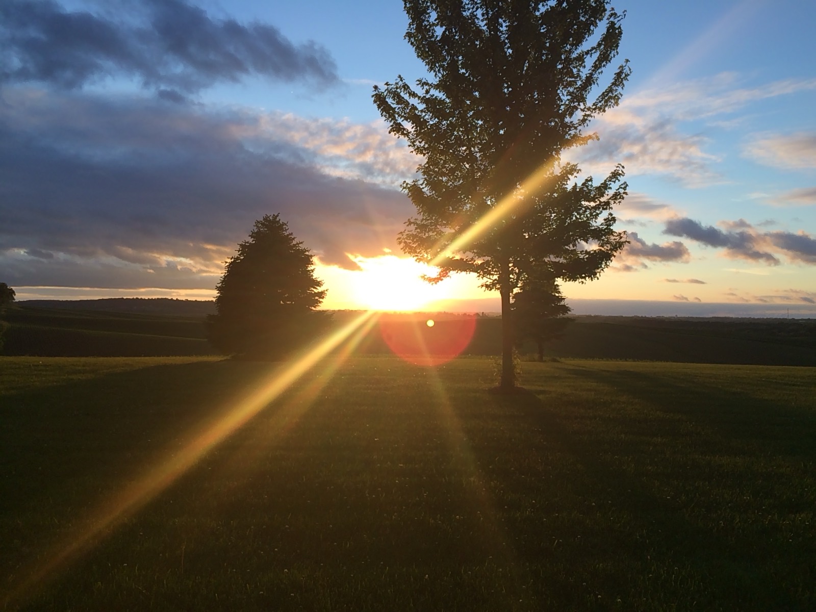 Golden-hour sunlight breaking through trees over open Iowa farmland.