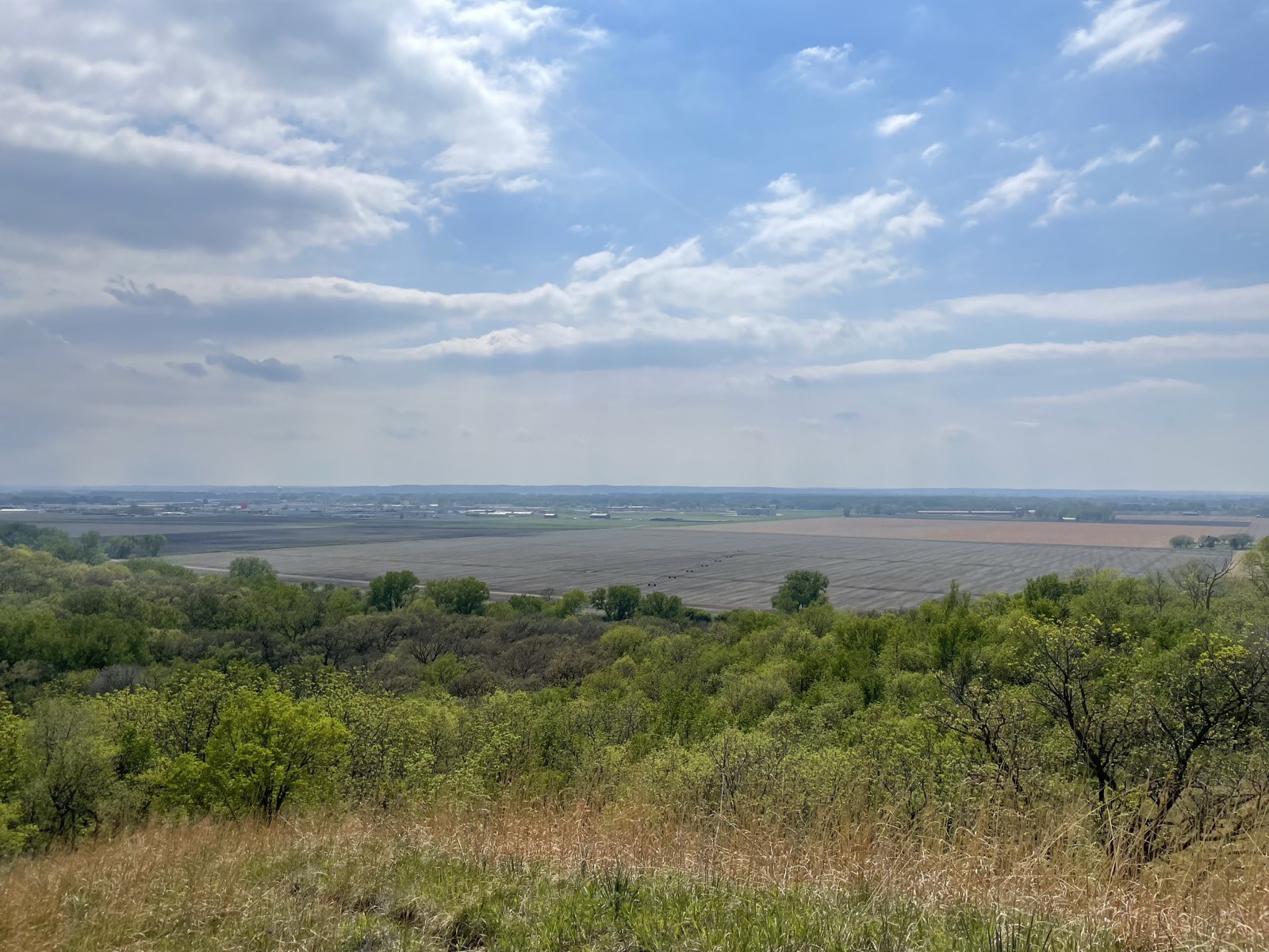 Open Iowa farmland and a hazy horizon seen from a wooded bluff above the fields.